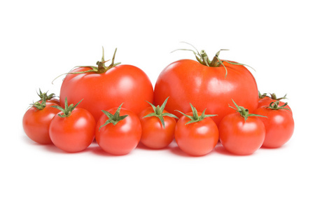 西红柿21 国集团