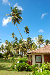 假日别墅酒店最受欢迎的酒店和棕榈树，本托特，斯里兰卡