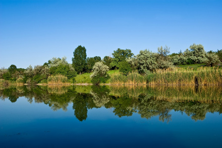 夏天河风景