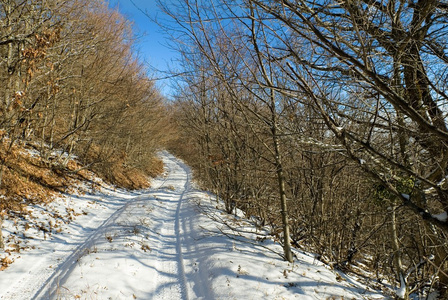 冬季和路