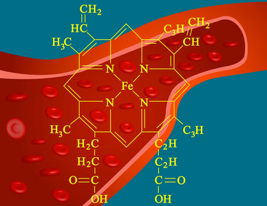 heme struktur血红素结构