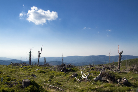 波兰语山 beskidy