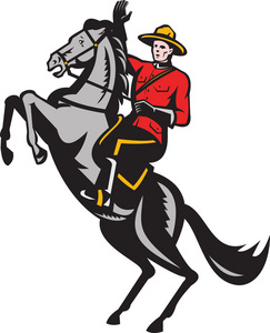 加拿大骑警加拿大骑警骑乘马