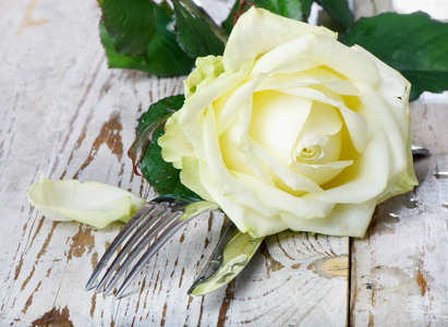 白玫瑰与花瓣浪漫晚餐设置图片
