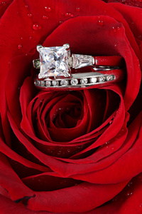 在玫瑰的结婚戒指，将你嫁给我