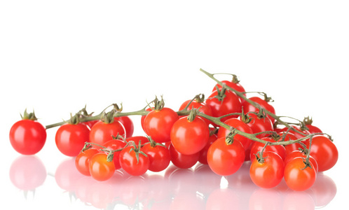 美丽的樱桃番茄被隔绝在白色的分支