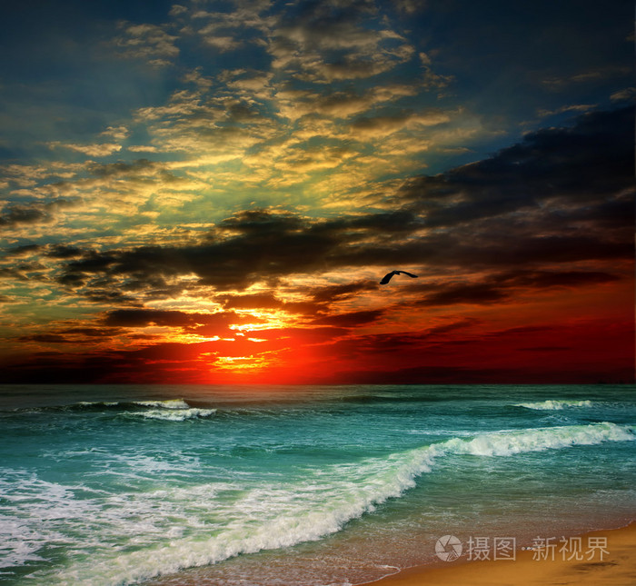 在印度洋的愚蠢海滩海洋日落风景海景场景