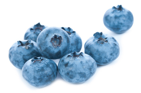 孤立的蓝色莓果组