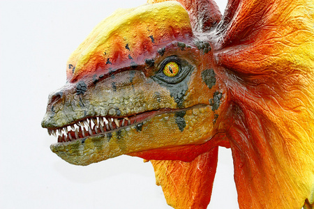 双脊龙恐龙橙色的项圈图片
