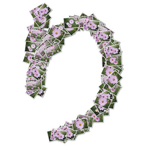 日语字符平假名，提出从花的照片