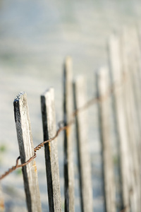 海滩上的木栅栏
