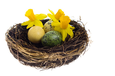 鸟巢用染色多彩鸡蛋和鲜花