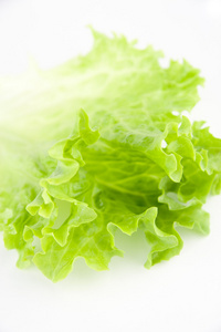 绿色生菜沙拉 16