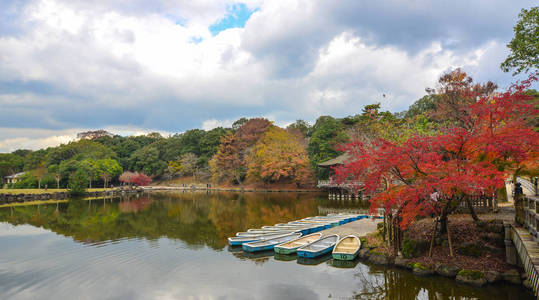 日本关西的秋景