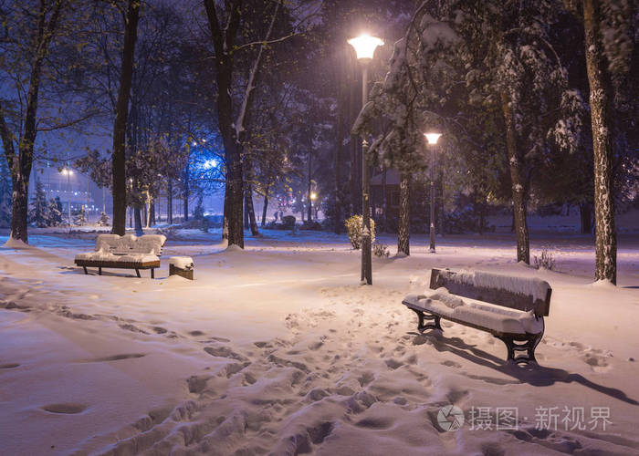 冬天的夜晚景观-长凳下树木和闪闪发光的街道灯飘落的雪花