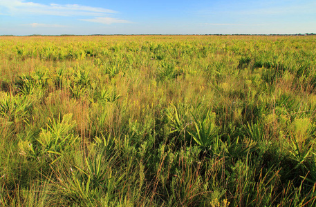 基西米草原保护区国家公园