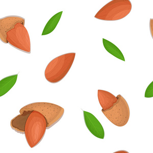 矢量无缝模式杏仁坚果。插图的剥了皮的坚果和壳分离它可以用作包装设计元素，印刷小册子健康的素食饮食的白色背景上