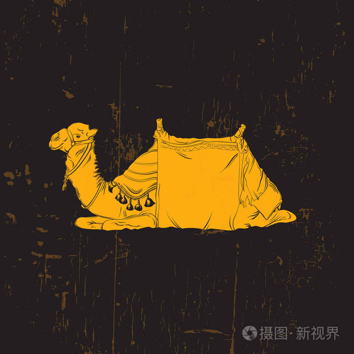 骆驼矢量插画