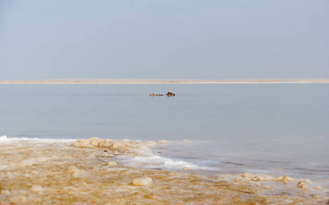一个人躺在死海的水