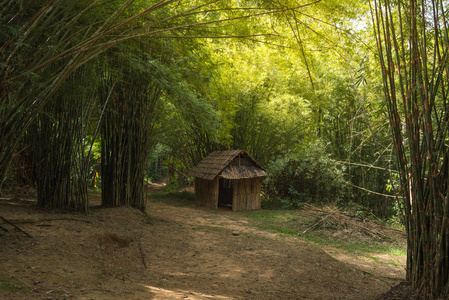 在竹林里的临时住宿图片