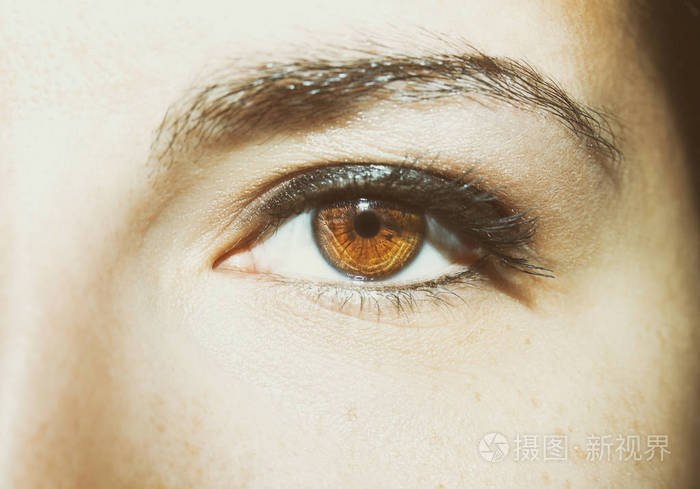 女人美丽有深刻的了解,棕色的眼睛