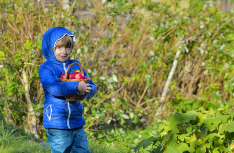 孩子在秋天在农场摘苹果