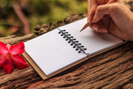 女孩的手写作写用铅笔在笔记本和沙漠玫瑰站在老木纹理与绿色自然背景的女孩的手。特写镜头，选择重点