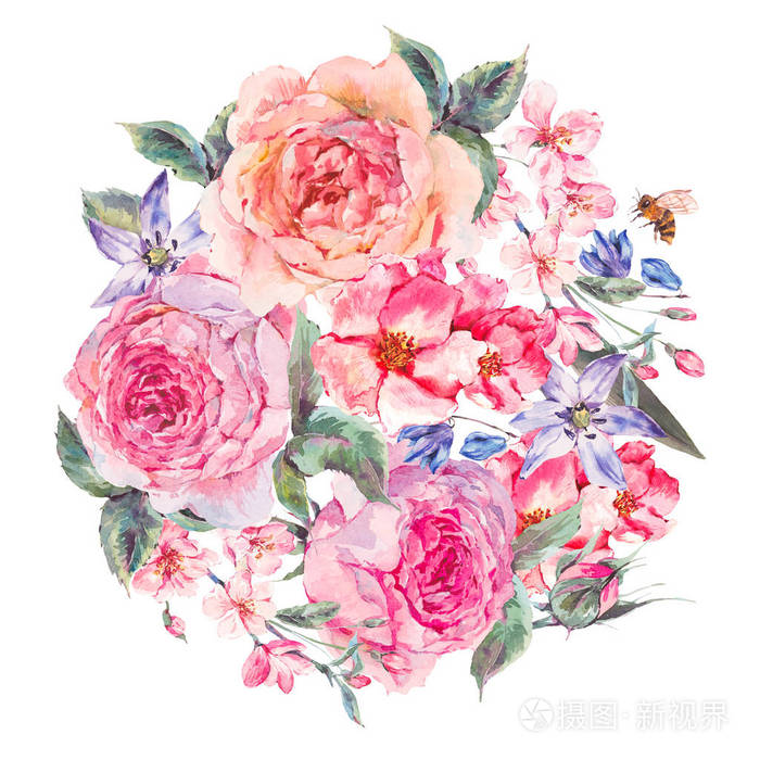 盛开的樱花和英语玫瑰水彩画春天花束