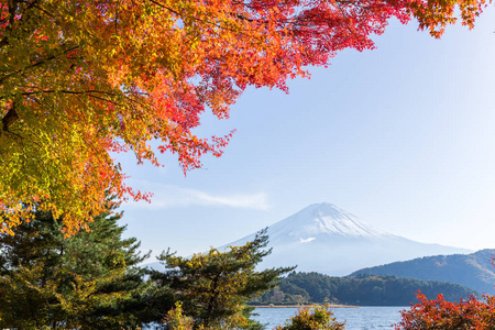 湖和山富士山在秋天的季节