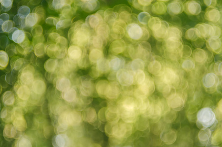 复制空间的自然绿色散景阳光 flare 和模糊叶抽象纹理背景