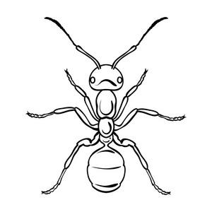 蚂蚁在白色背景上孤立的大纲样式图标。昆虫的符号股票矢量图