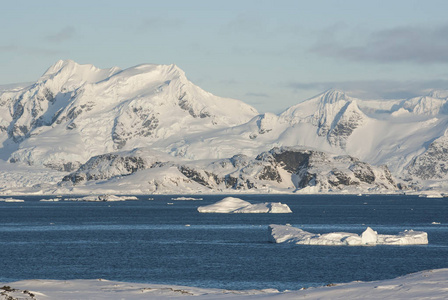 查看从位于下一步在南极半岛海岸的我