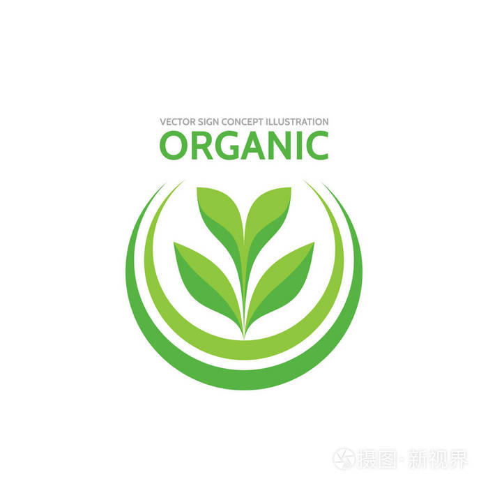 有机产品-矢量商业标识模板概念插画.绿叶创造性的星座.设计元素
