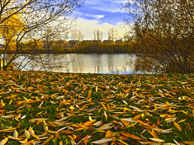 在秋天在萨拉曼卡  河附近的一个公园