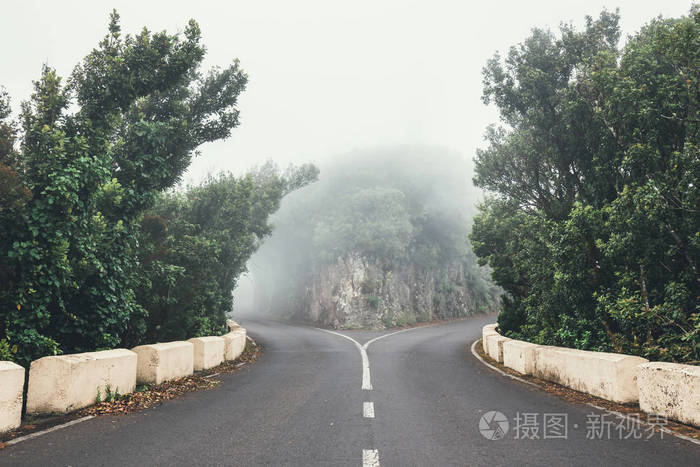 在阴天有绿树的山路