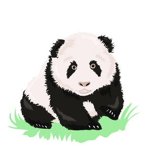 在白色背景下的黑色和白色卡通熊猫