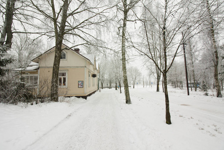 五颜六色的木屋在芬兰下雪了图片