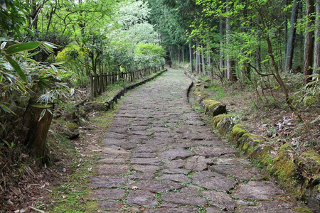 日本 Nakasendo 路