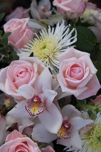 粉红玫瑰和兰花