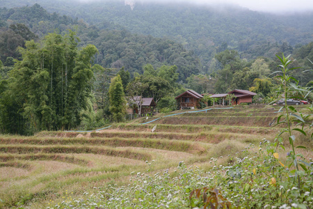 村庄与梯田稻田湄巴生銮，湄针，清迈，泰国