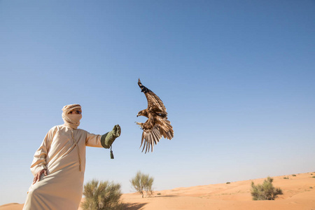 在迪拜，阿联酋沙漠鹰放映过程的更大斑点的鹰 Clanga clanga