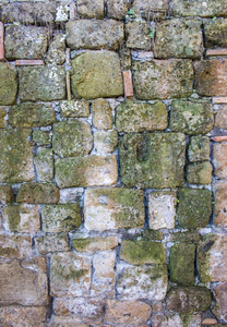 moss 砖墙