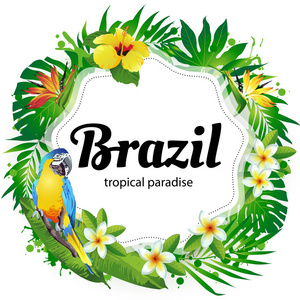 巴西矢量图的热带鸟 花 叶