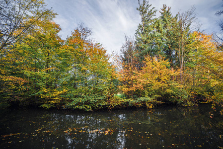 秋天的风景与五颜六色的树在秋天