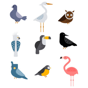 鸟类向量组的孤立的插图