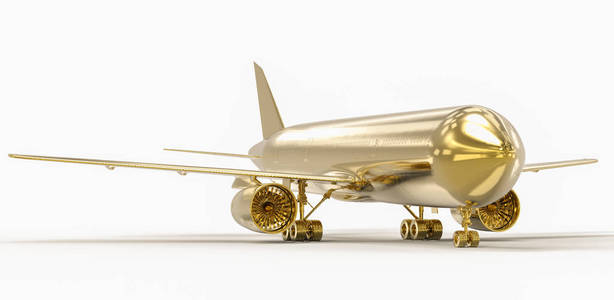 金模拟了飞机