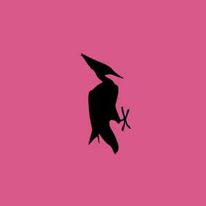 啄木鸟鸟图标图孤立的矢量标志符号