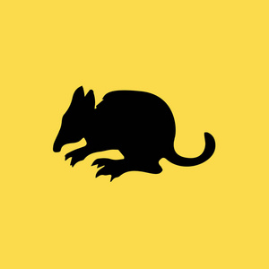 害鼠哺乳动物图标图孤立的矢量标志符号