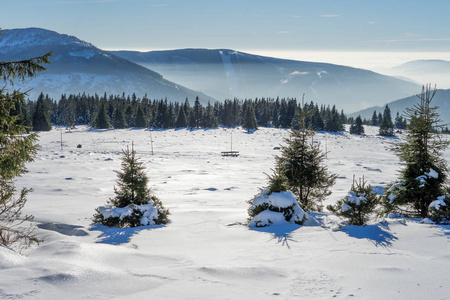 冬季景观与巨山雾