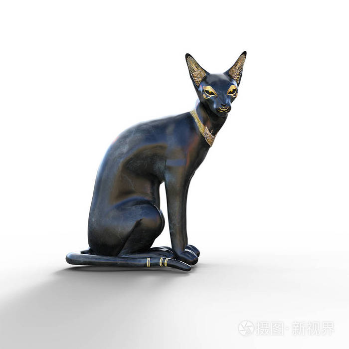 贝斯特猫